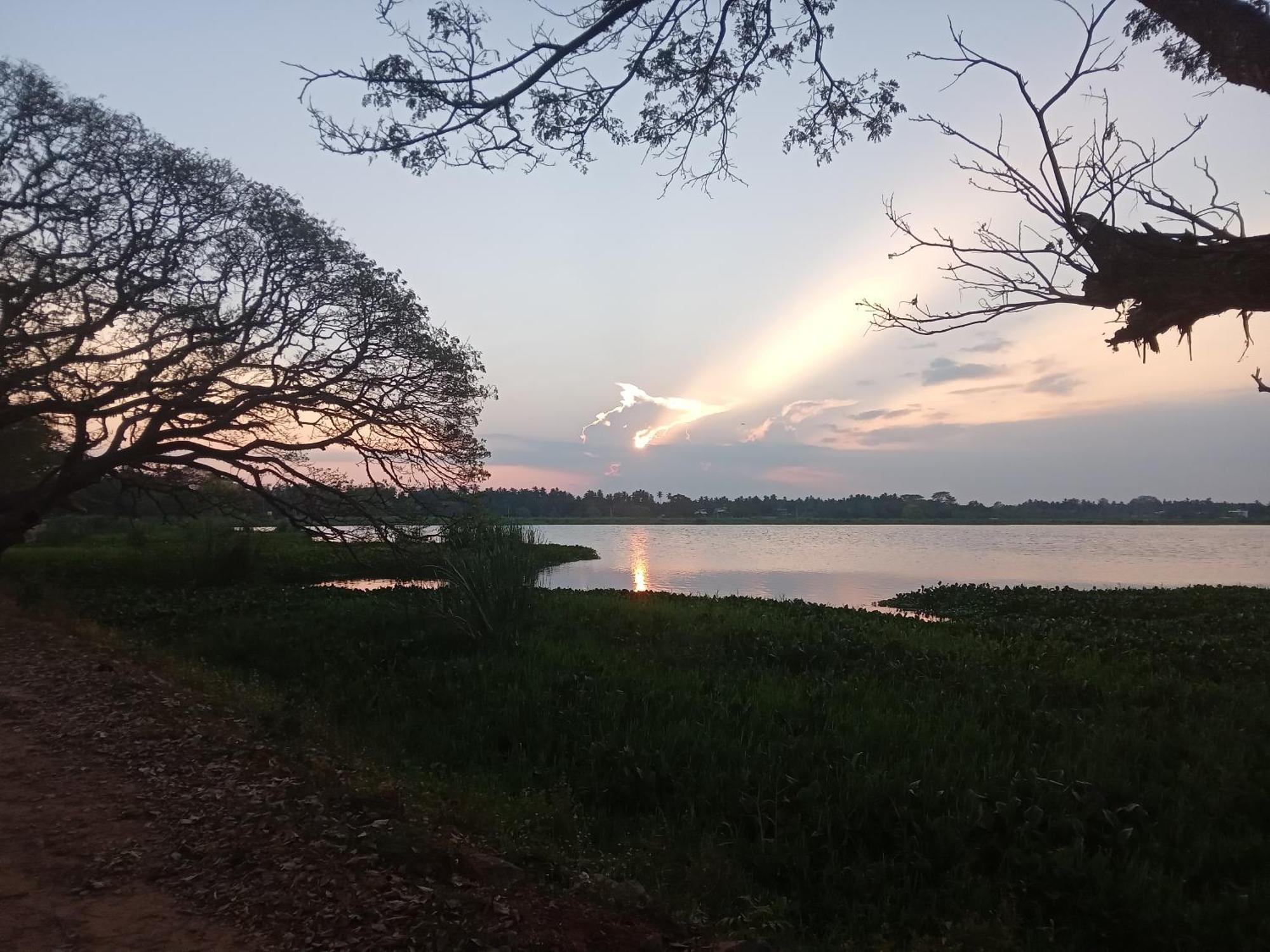 Tissa Rainbow Guest&Yala Hotel Tissamaharama Bagian luar foto