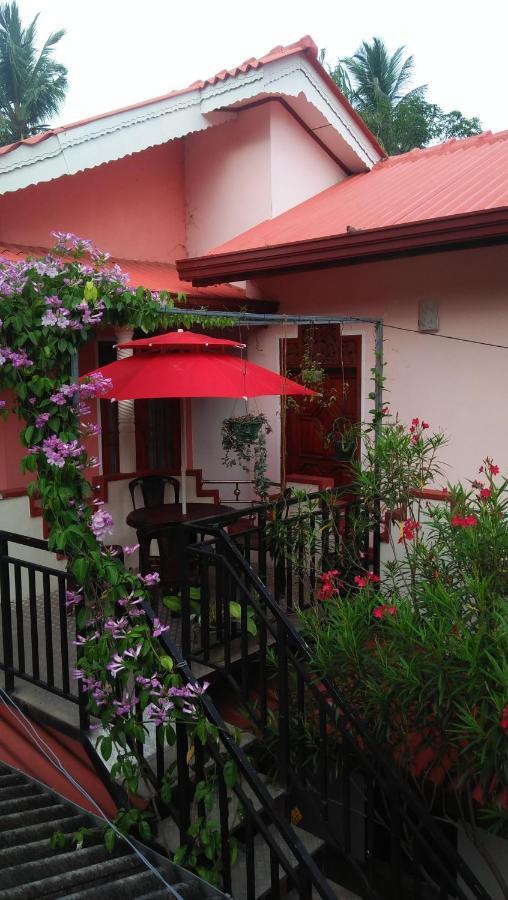 Tissa Rainbow Guest&Yala Hotel Tissamaharama Bagian luar foto