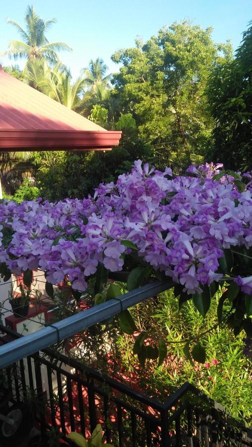 Tissa Rainbow Guest&Yala Hotel Tissamaharama Bagian luar foto